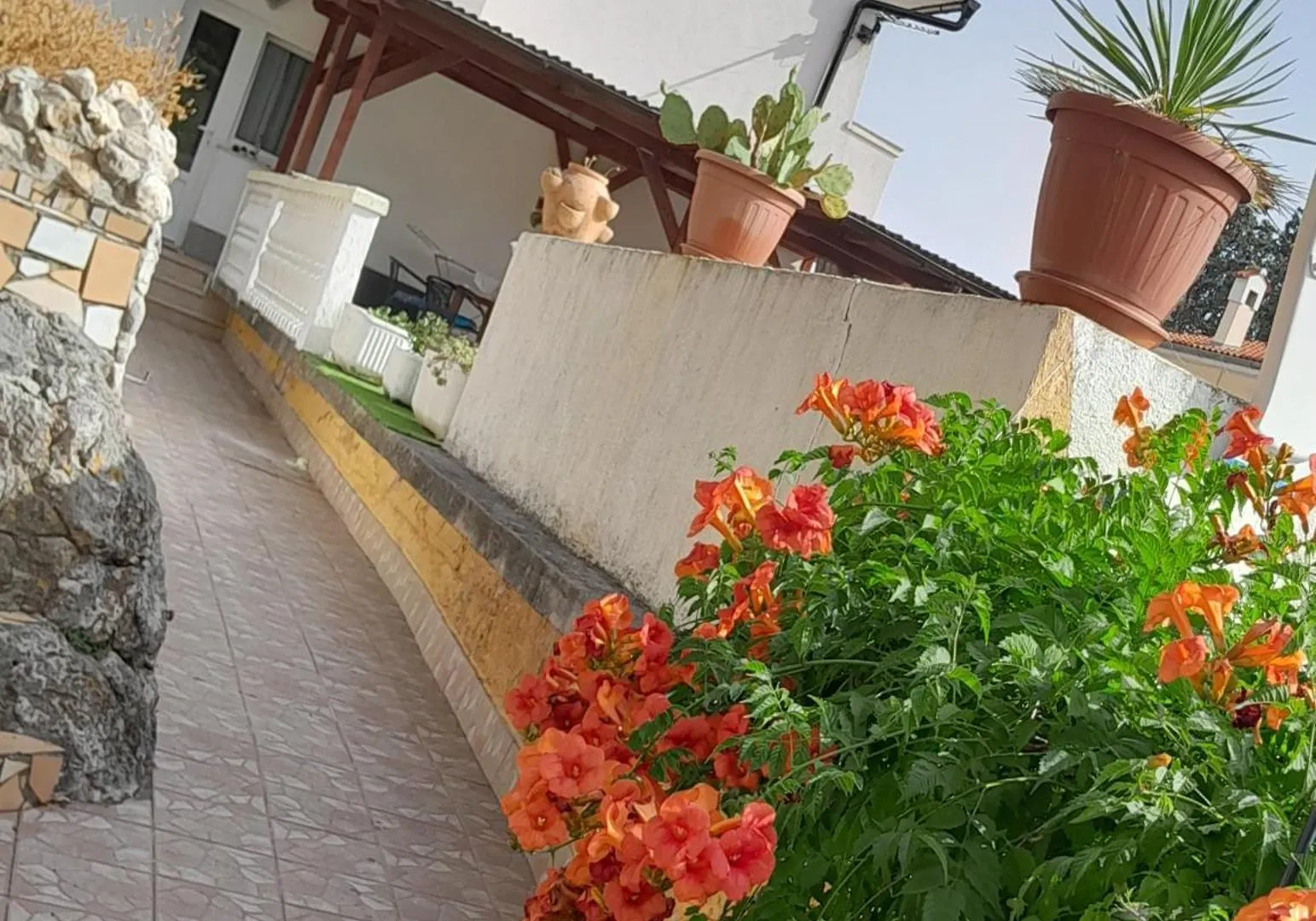 Matteo Apartment Supetarska Draga Croatia